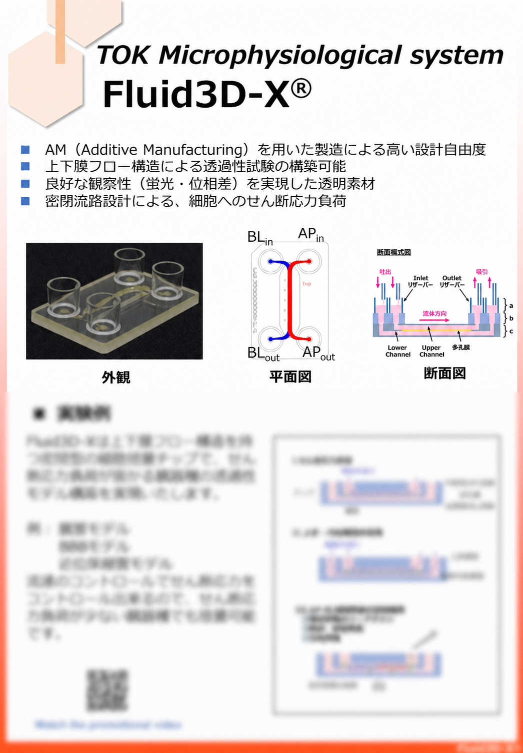 現像液
