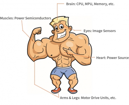 Fig. 2 - The Types and Roles of Semiconductors