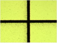 5 Repetitions：After Laser Irradiation